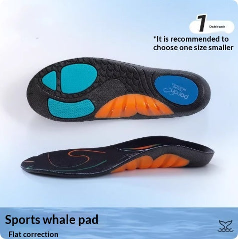 Les semelles intérieures des baleines de sport supportent les amortisseurs pour l'exercice