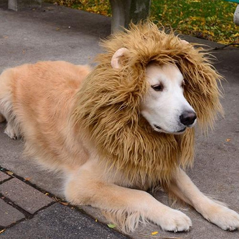Costume de transfiguration des vêtements de cosplay pour animaux mignons Lion Mane Winter Warm Wig Chat Large Dog P