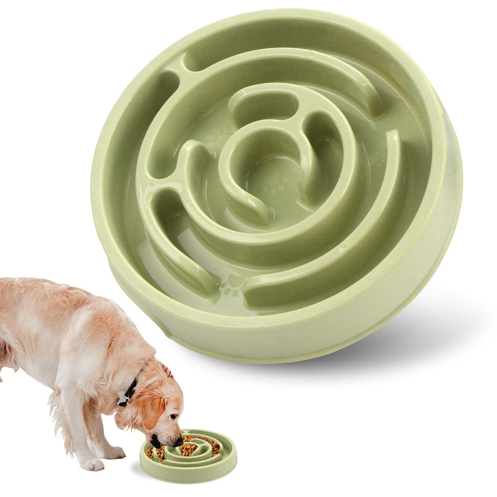 Bol de chien d'alimentation lente