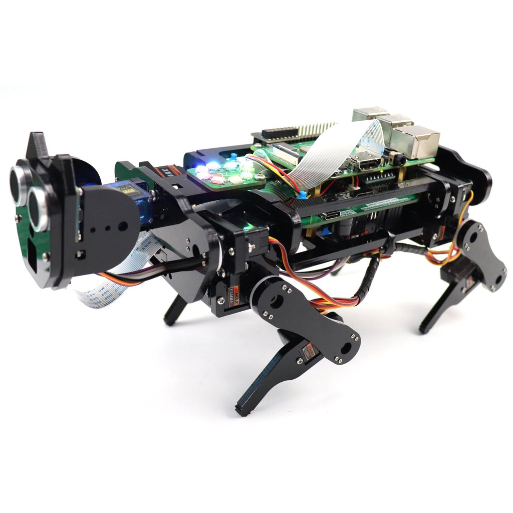 Raspberry Pi Robot Dog Reconnaissance du visage