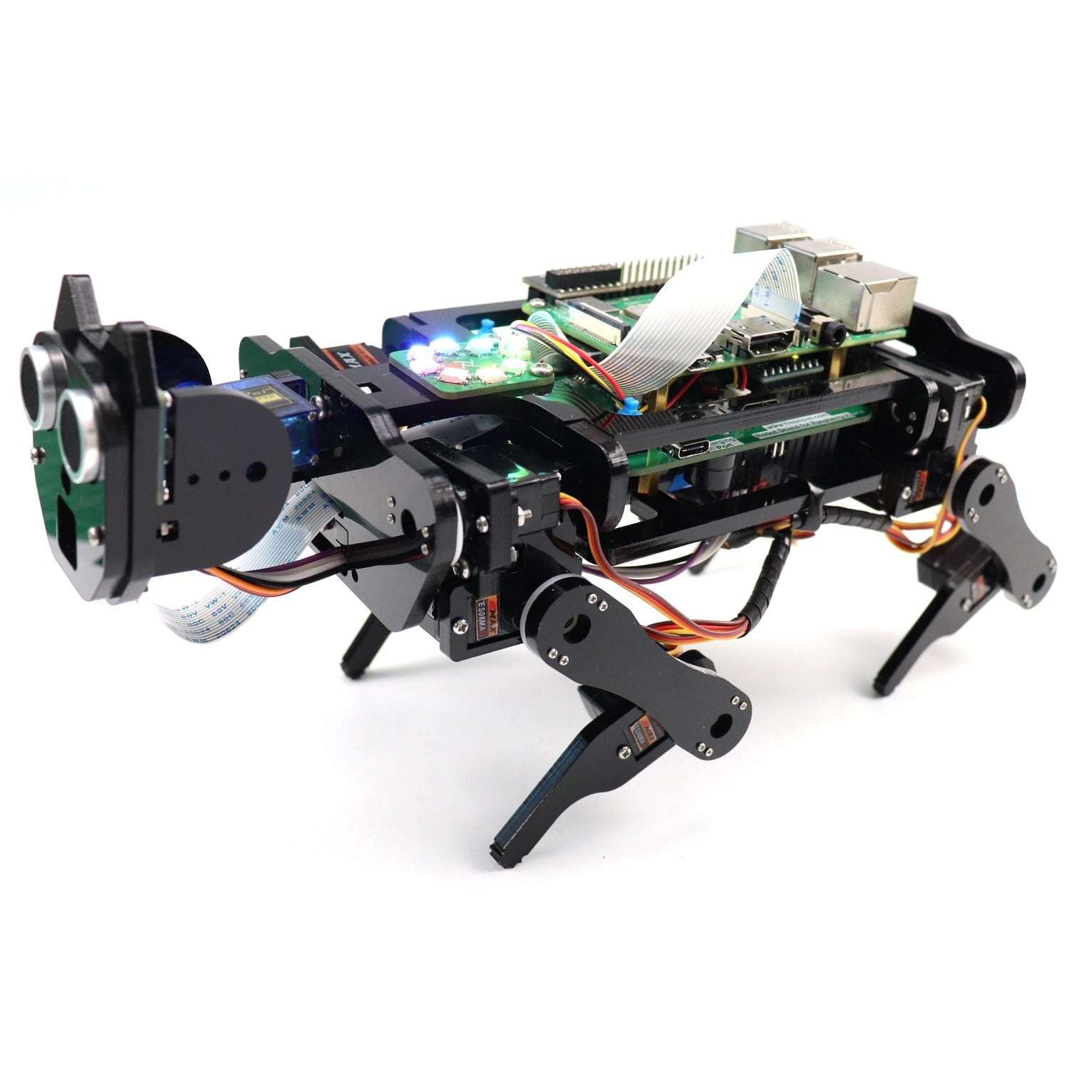 Raspberry Pi Robot Dog Reconnaissance du visage