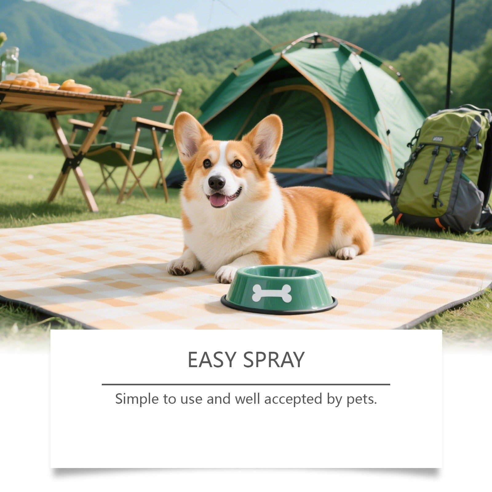 Spray pour soins aux yeux des chiens
