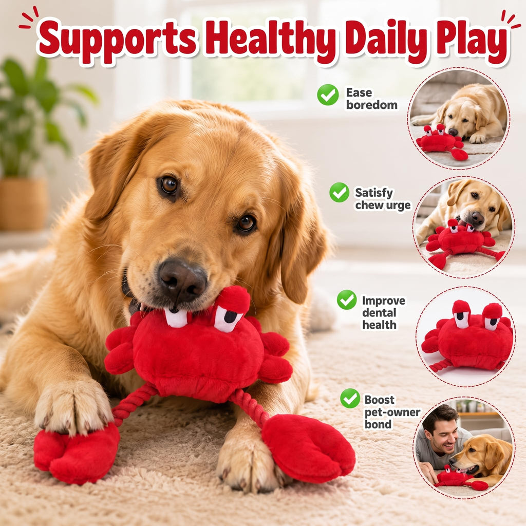 Jouet en peluche de chien squeaky