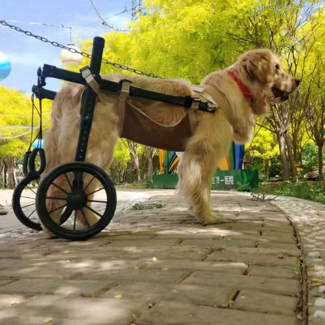 Aide à la mobilité en fauteuil roulant