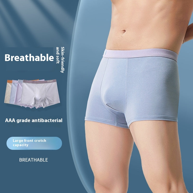Boxers 3D confortables pour hommes Impression en taille moyenne