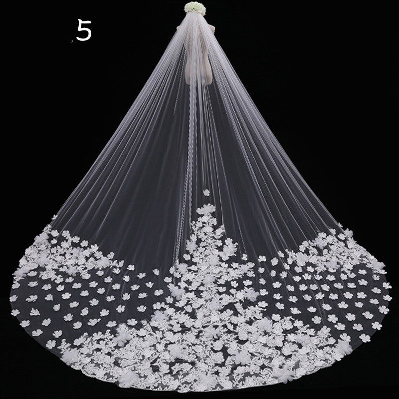 Mariée Mariage Maître Veil Long Tail