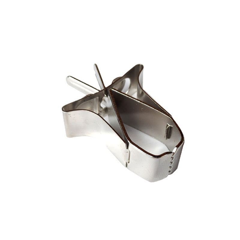 Pour oiseaux en acier inoxydable Fruit Clip Feeder