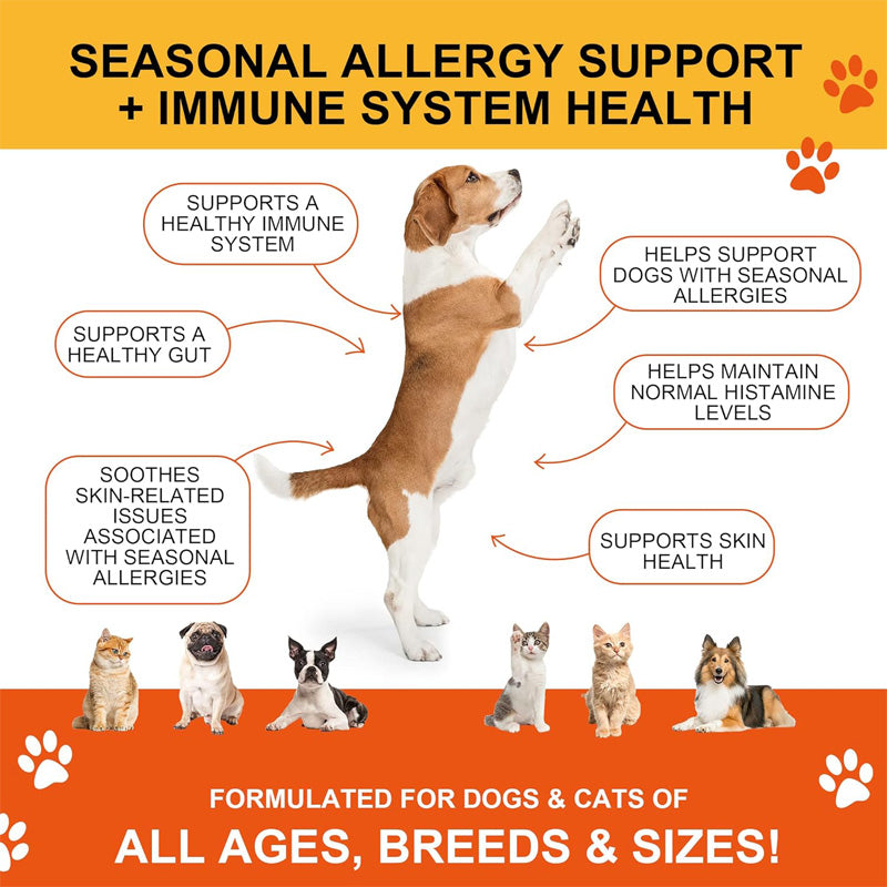 Suppléments pour chiens et chats avec de la glucosamine