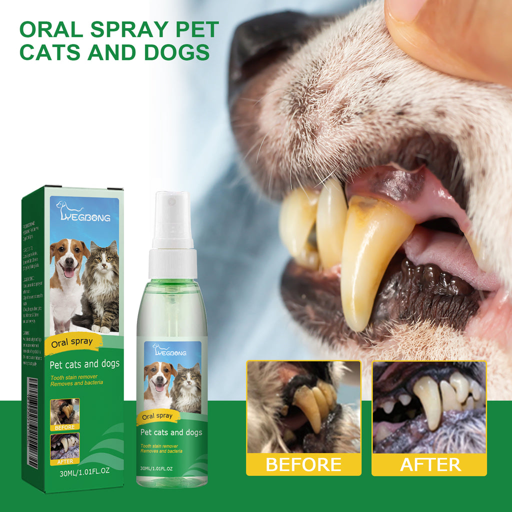 Vaporisateur de nettoyage des dents pour animaux de compagnie