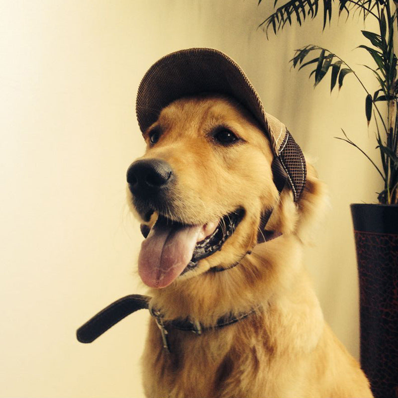 Casquette de baseball respirante pour animaux de compagnie