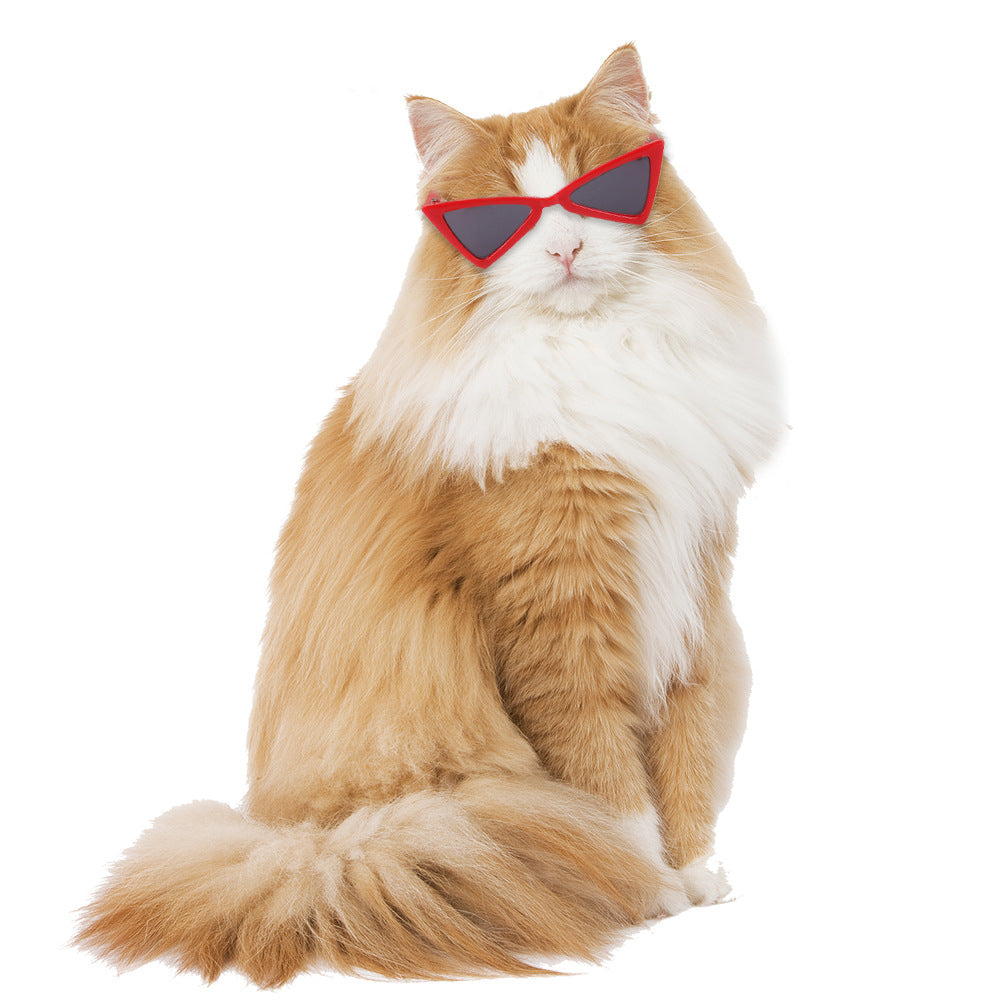 Lunettes de couleur drôle Accessoires pour chiens et chats