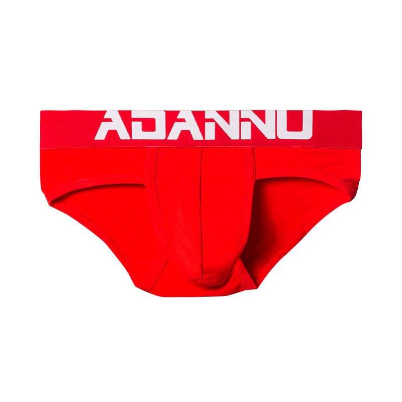 Slip homme Sexy Pure Cotton Confortable Simple Trendy Lettres Basse taille Respirant U Pou