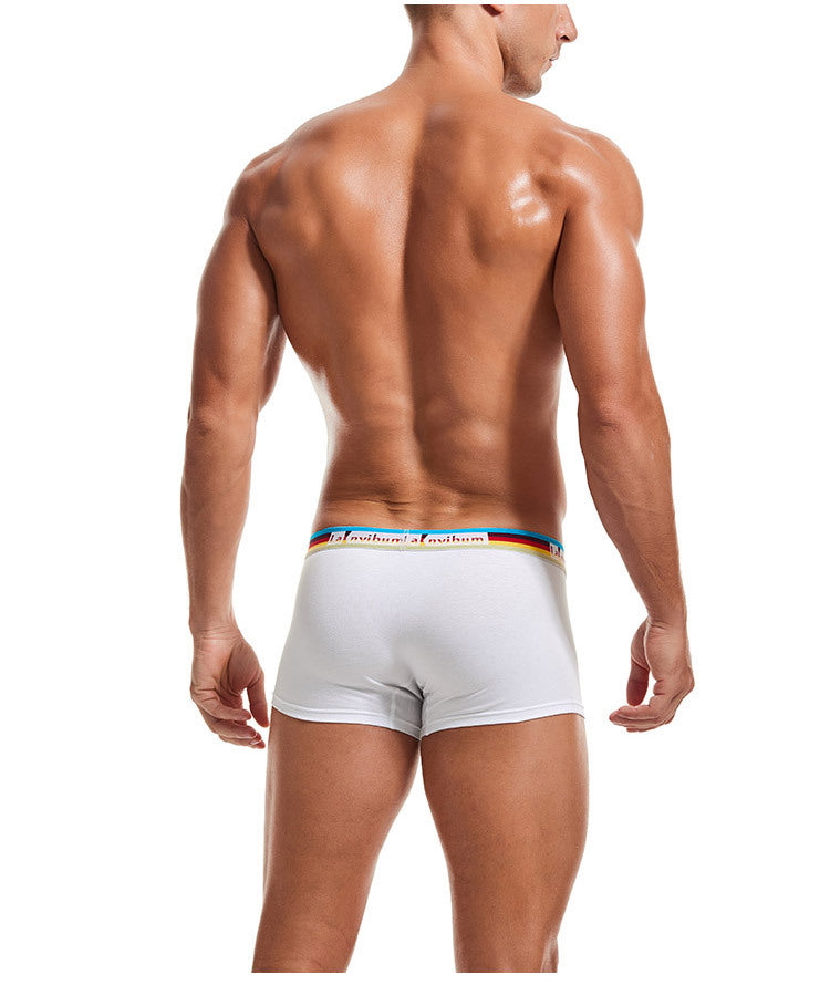 Sous-vêtements pour hommes en coton taille moyenne Rainbow Belt Boxer Short