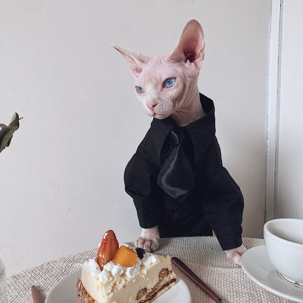 Robe de chat Sphynx Tie Vest Blazer Set pour chats sans cheveux