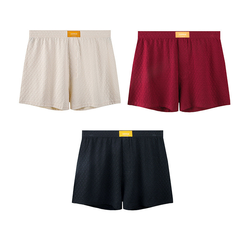 Hommes Solide-couleur Taille moyenne Texturé Boxer Slips