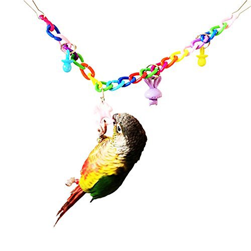 Parrot Acrylique chaîne suspension Bridge Swing Toy