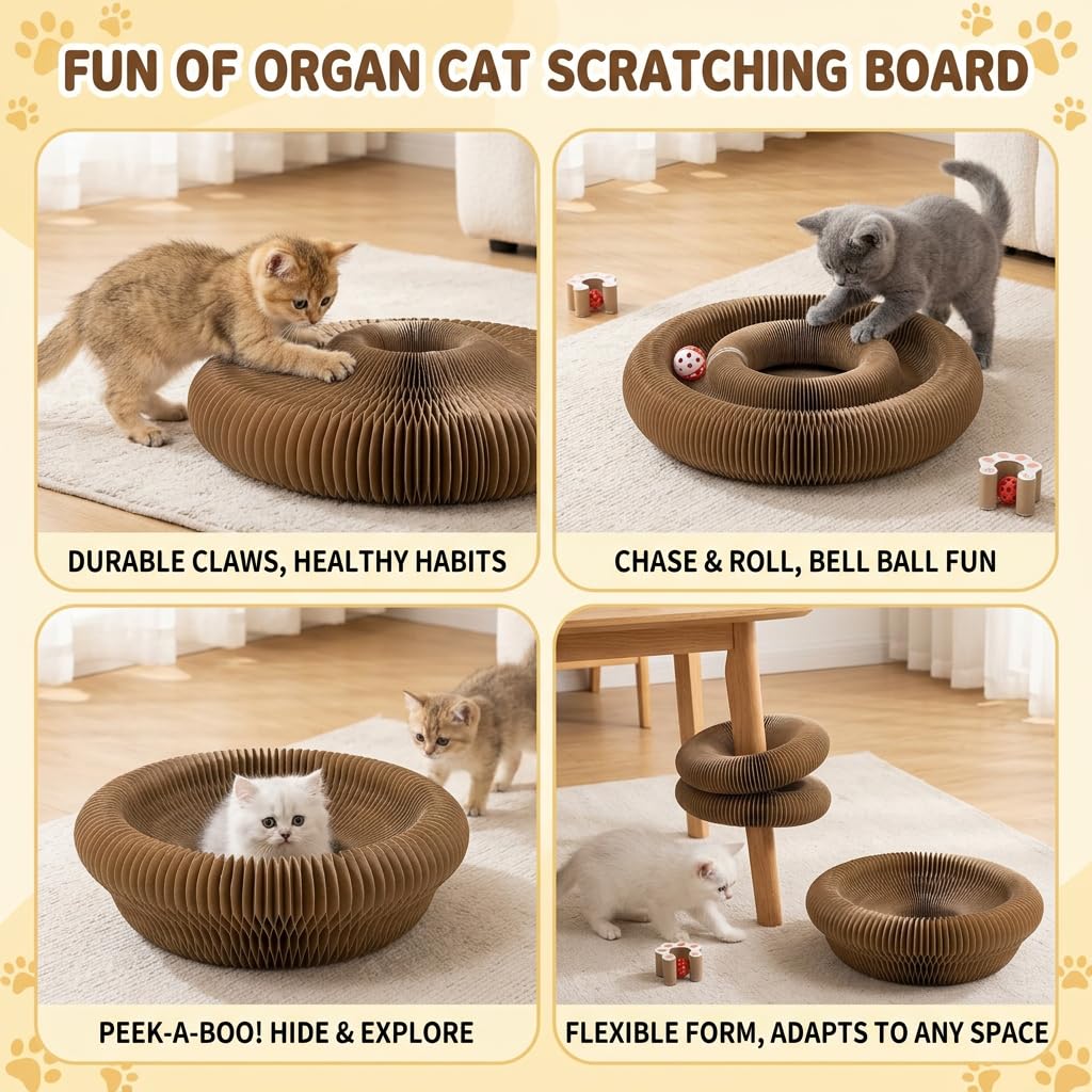 Jouet de chat,Tambour de chat Magic Organ, Jouet d'accordéon de chat recyclable pliable,Interactif