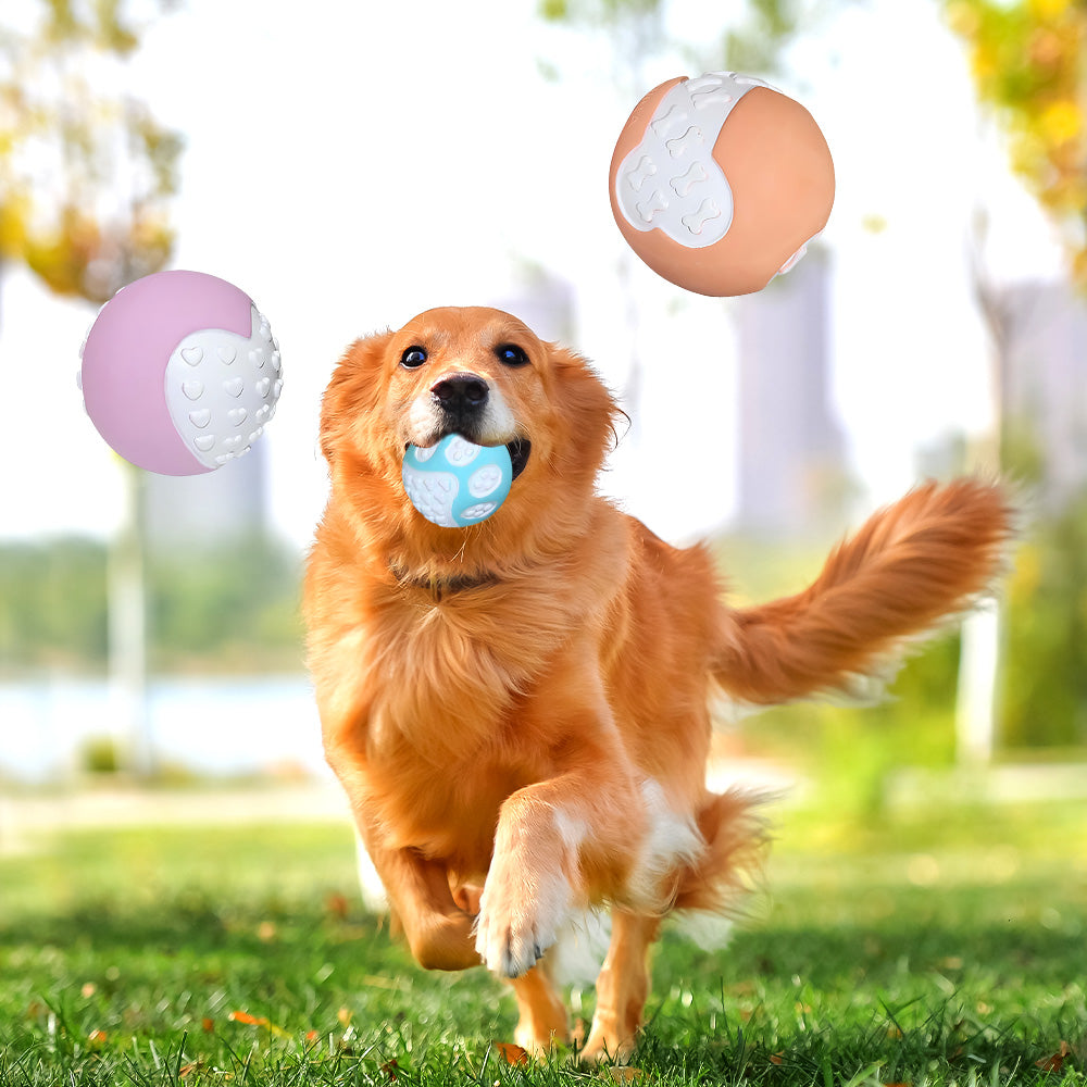 12 PCS Jouet de chien non toxique Balle en caoutchouc dur Balle de nettoyage solide de dents durables pour chécher et bonjour