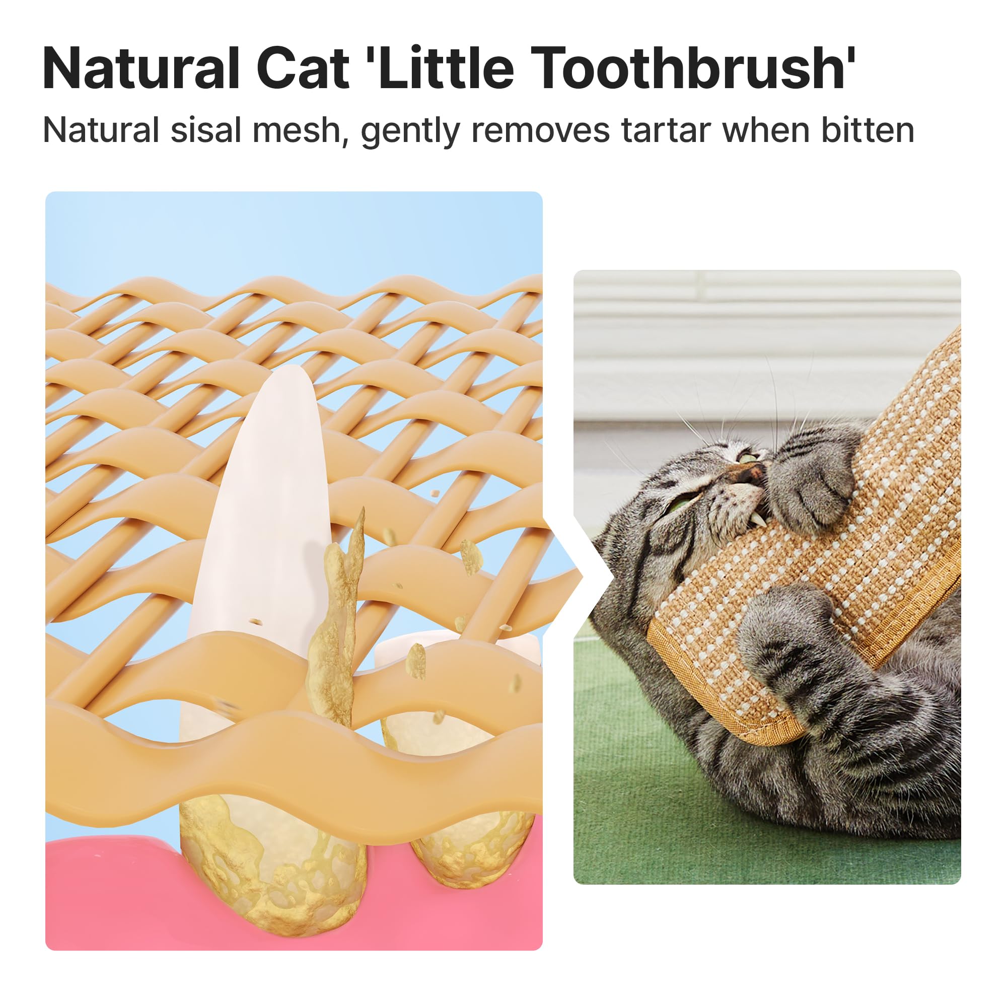 Lot de 2 jouets pour chats avec du panais biologique