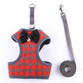 Leash de style vestois pour les chats et les chiens à pied