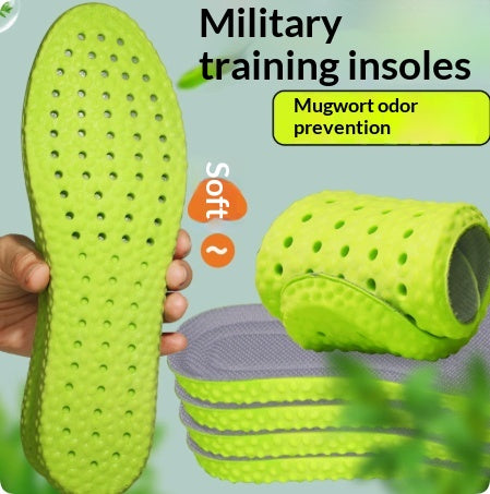 Semelles confortables respirantes et absorbantes pour le long Perio