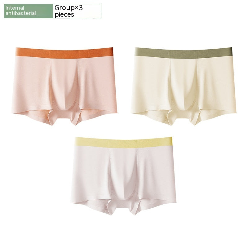 Short antibactérien sans couture