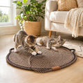 Pad à égratignures pour chats d'intérieur Kitten Round Cat Scratcher Pad