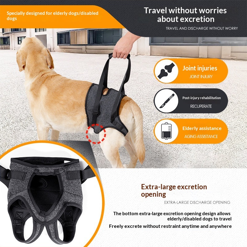 Retractable Harness for Dog Rehabilitation