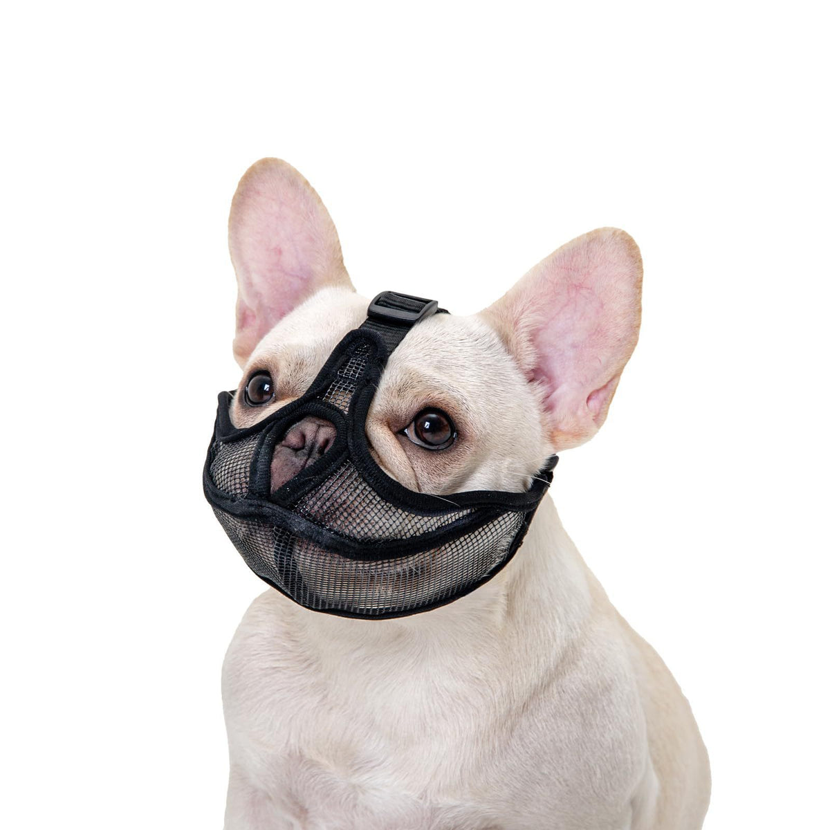 Muselière française Anti-Bite Fumée Respirante Pug Dog Masque visage Pet