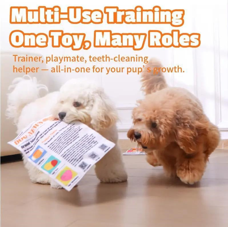 Durable Pet-friendly Newspaper Design Convient pour le Chewing