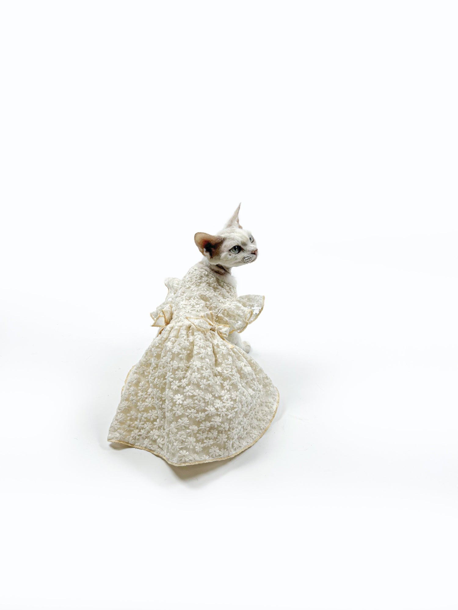 Sphynx Robe Princesse de chat Brodé vêtements de luxe pour chats sans cheveux