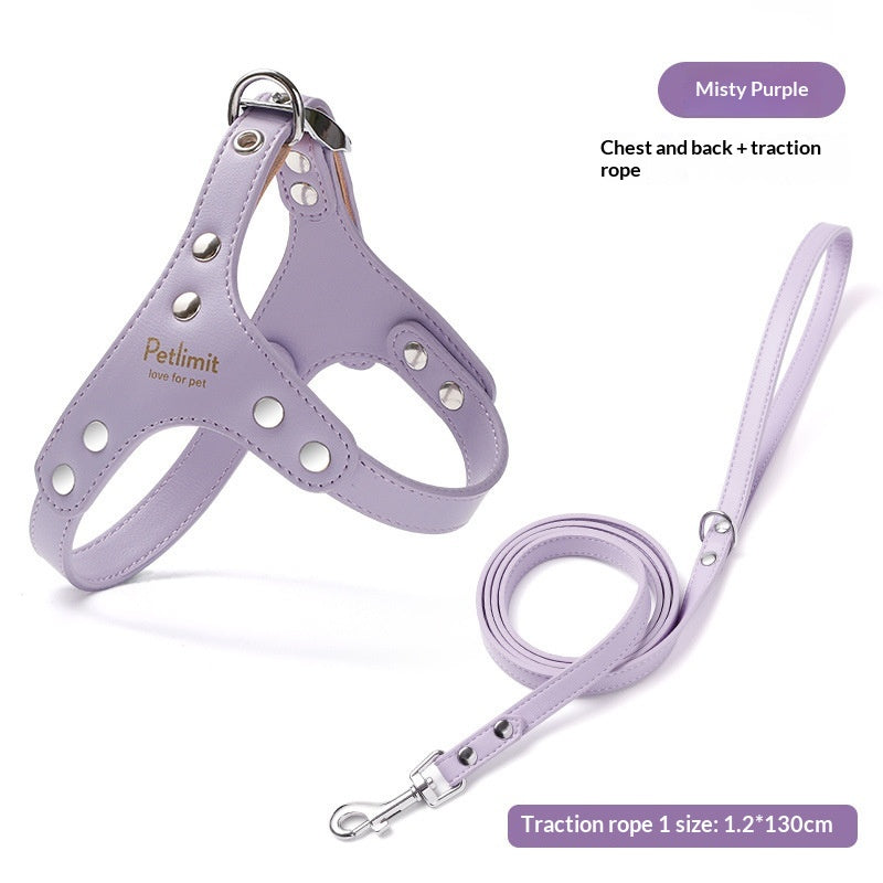 Harnais en cuir et laisse pour chiots pour petits chiens