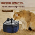 Distributeur d'eau pour animaux en acier inoxydable Induction sans fil Sortie d'eau automatique