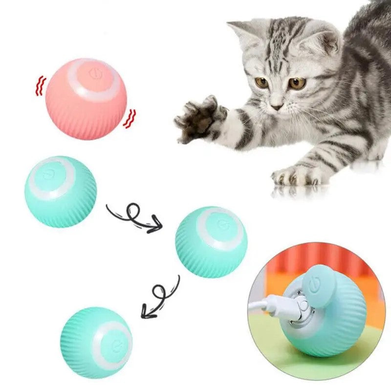 Jouet électrique de boule de chat de chien