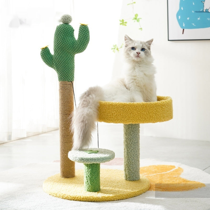 Cactus cadre d'escalade chat arbre chat jouet