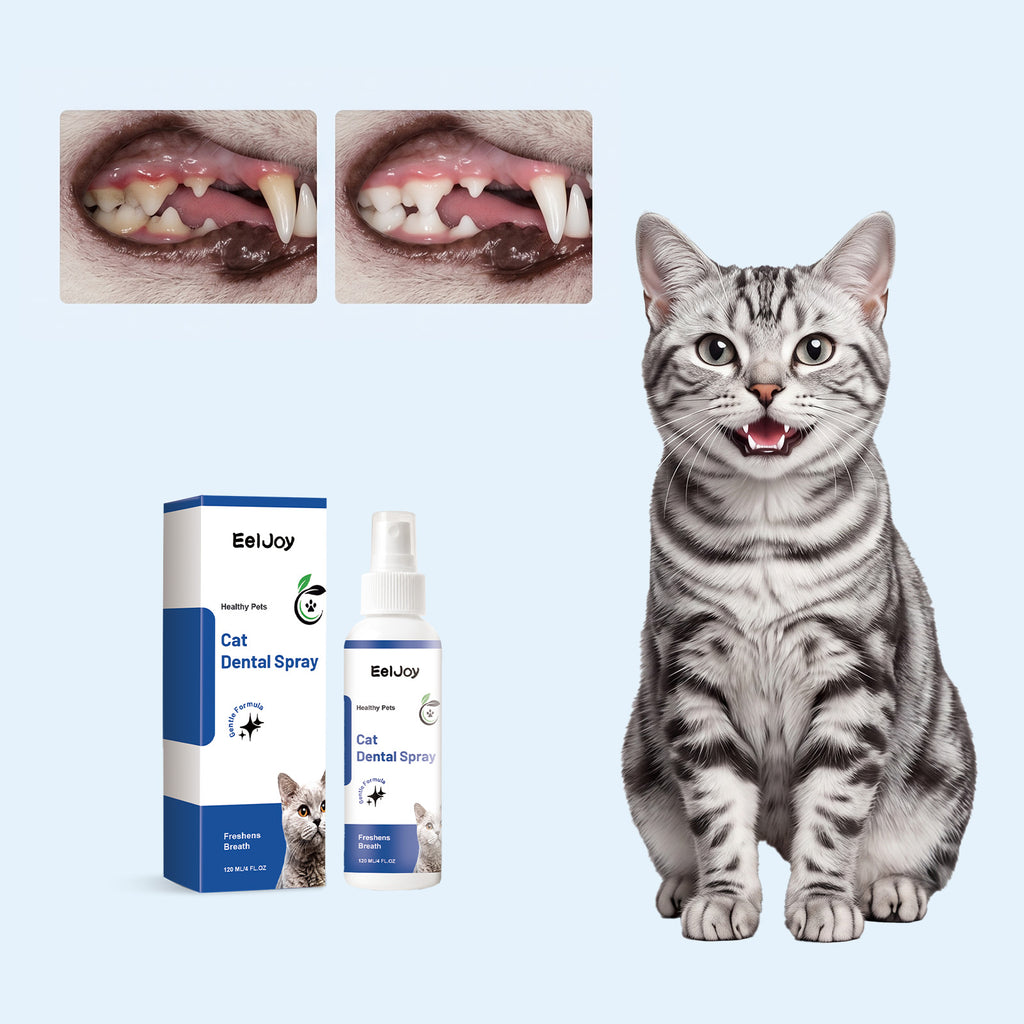 Vaporisateur de dents de chat