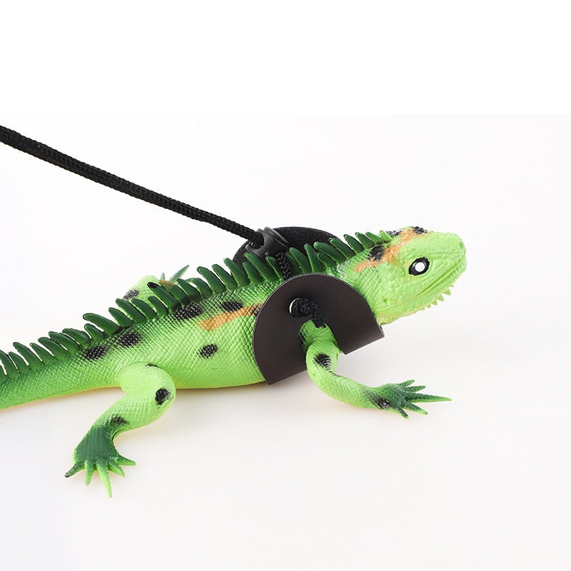 Harnais pour animaux de compagnie et laisse pour les sorties