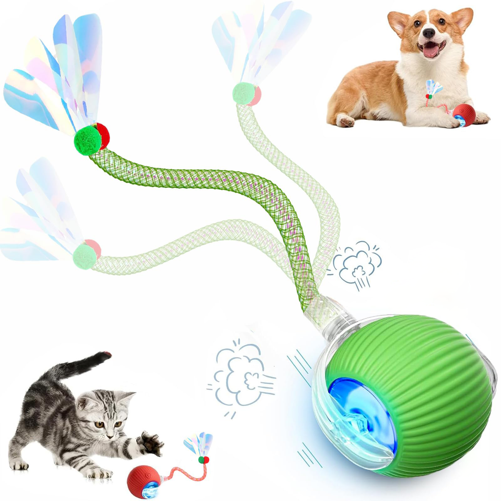 Jouets interactifs pour chats de queue pour chats d'intérieur