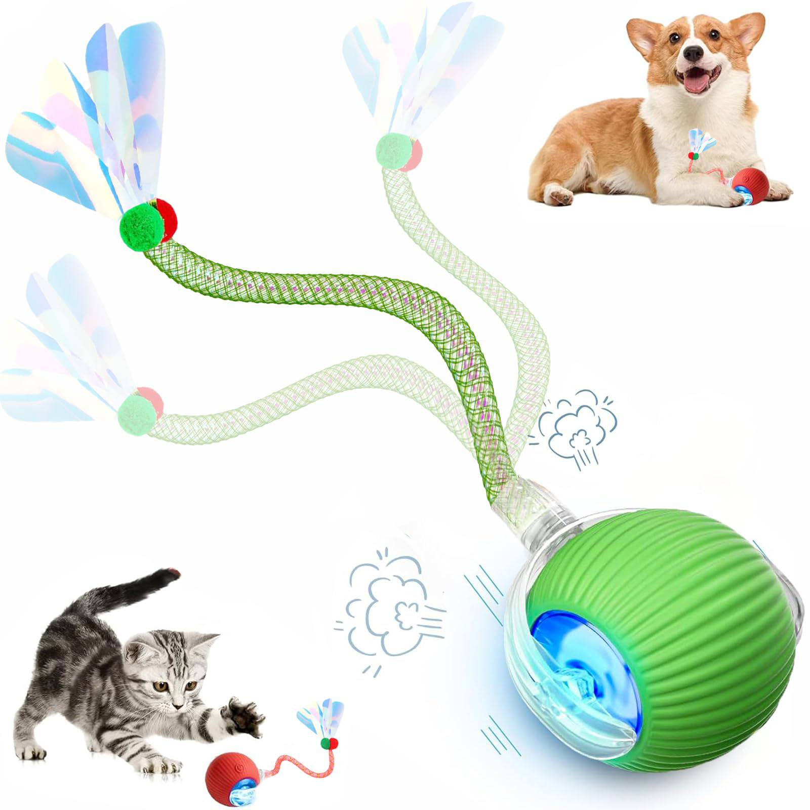 Jouets interactifs pour chats de queue pour chats d'intérieur