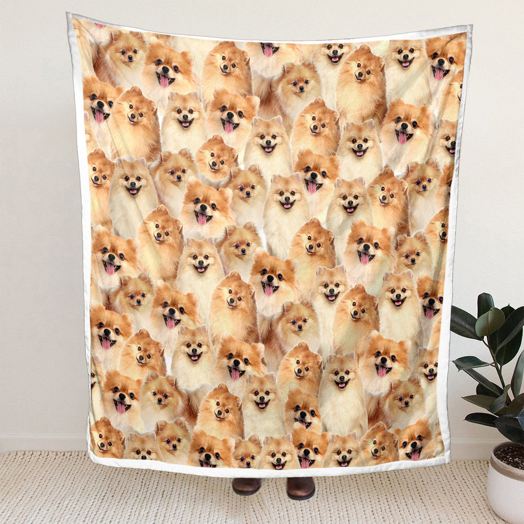 Pattern Poméranie Flèche Blanket filles Brown Sherpa Blanket mignon chien animal léger W