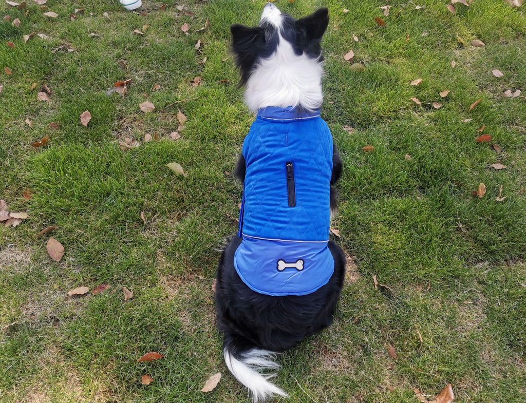 Mode Automne et hiver Vêtements de chien de plein air