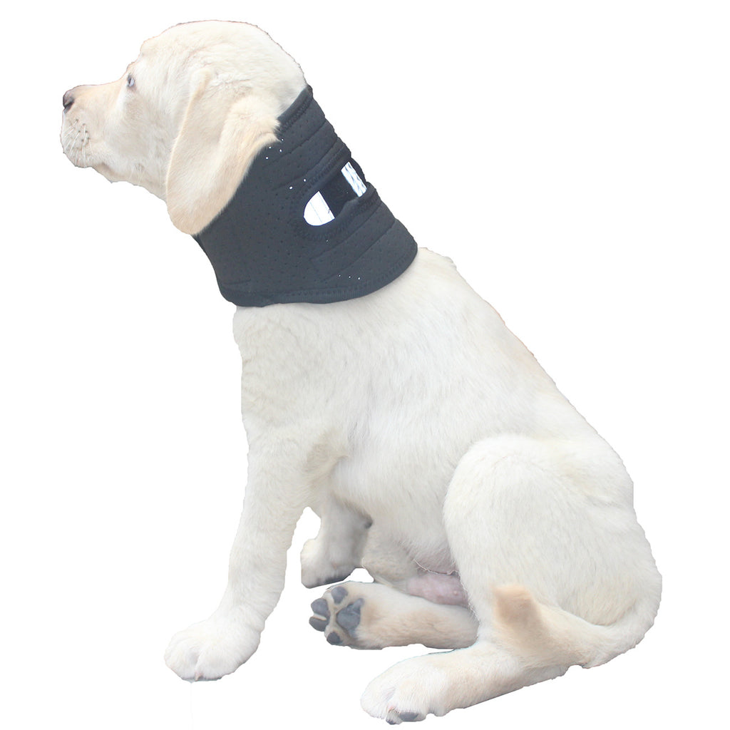 Collier d'animal réglable pour post-chirurgie Stabilité et protection contre les entorses de cou