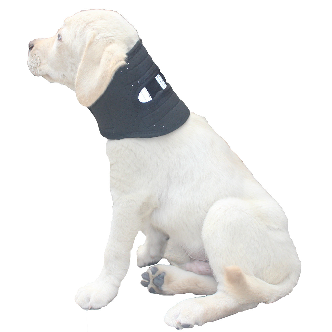 Collier d'animal réglable pour post-chirurgie Stabilité et protection contre les entorses de cou