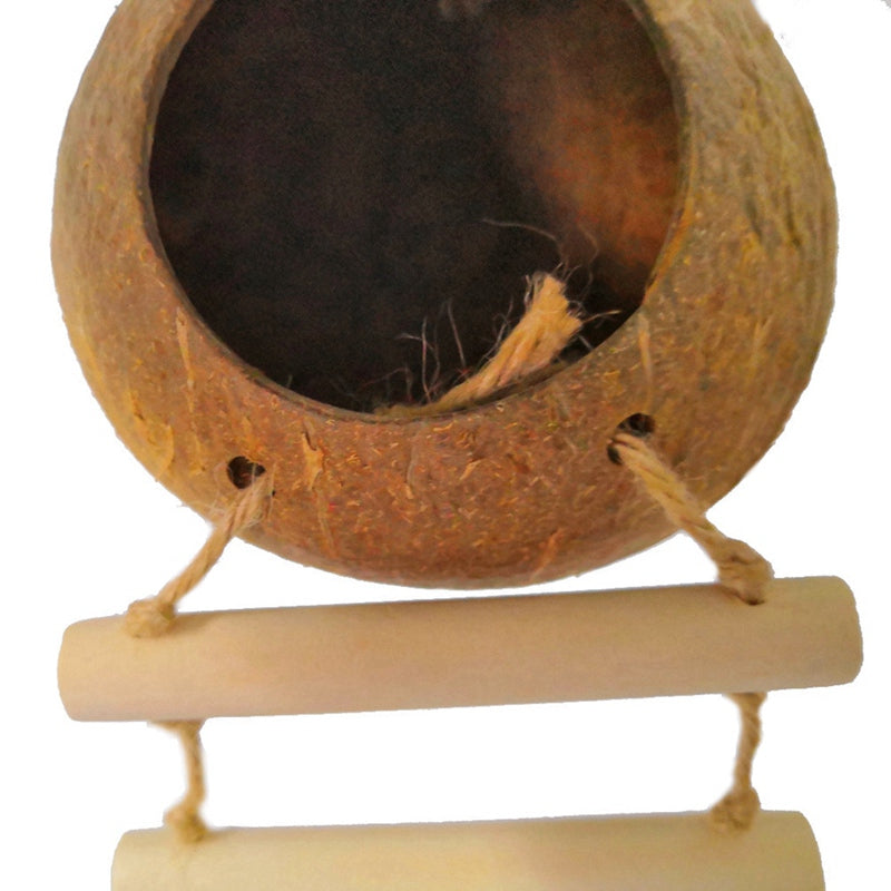 Oiseaux de noix de coco