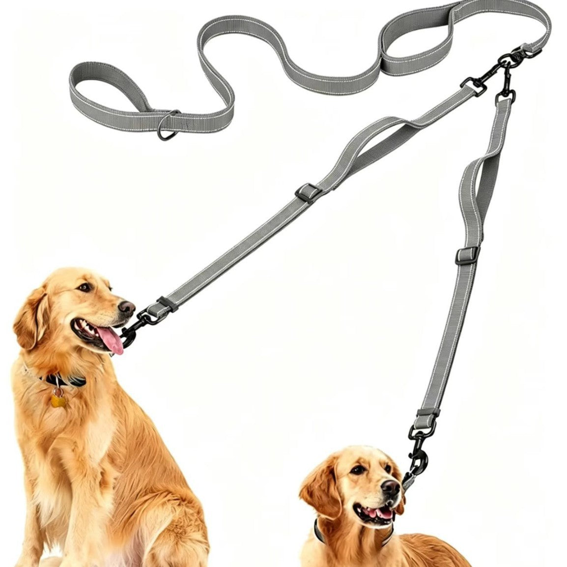 Encaisse pour animaux de compagnie