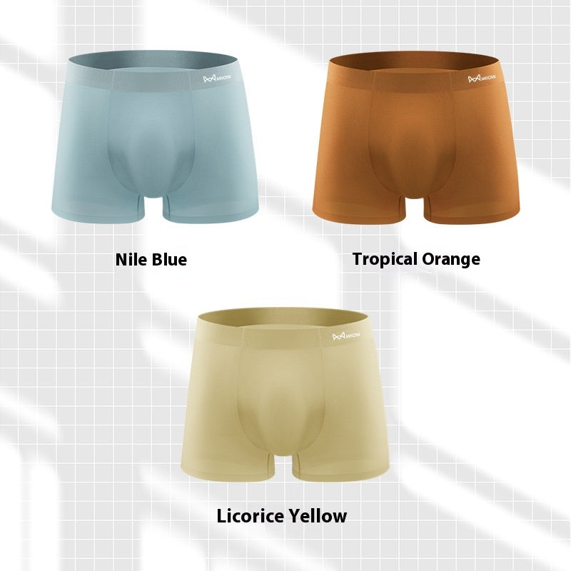 Sous-vêtements pour hommes Summer Seamless Cool
