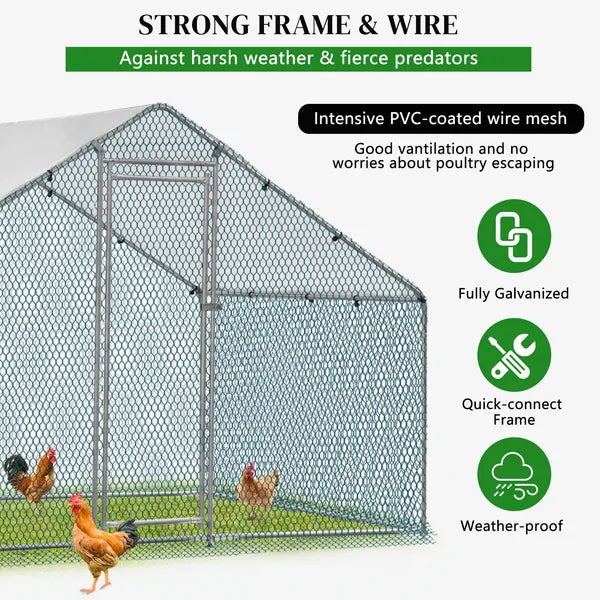 2X2X2m&6,5x6,5x6,5ft Coop de poulet argenté avec toit pointu