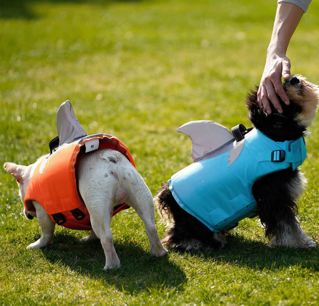 Volant Shark Fin Life Veste Dog Maillot de bain extérieur