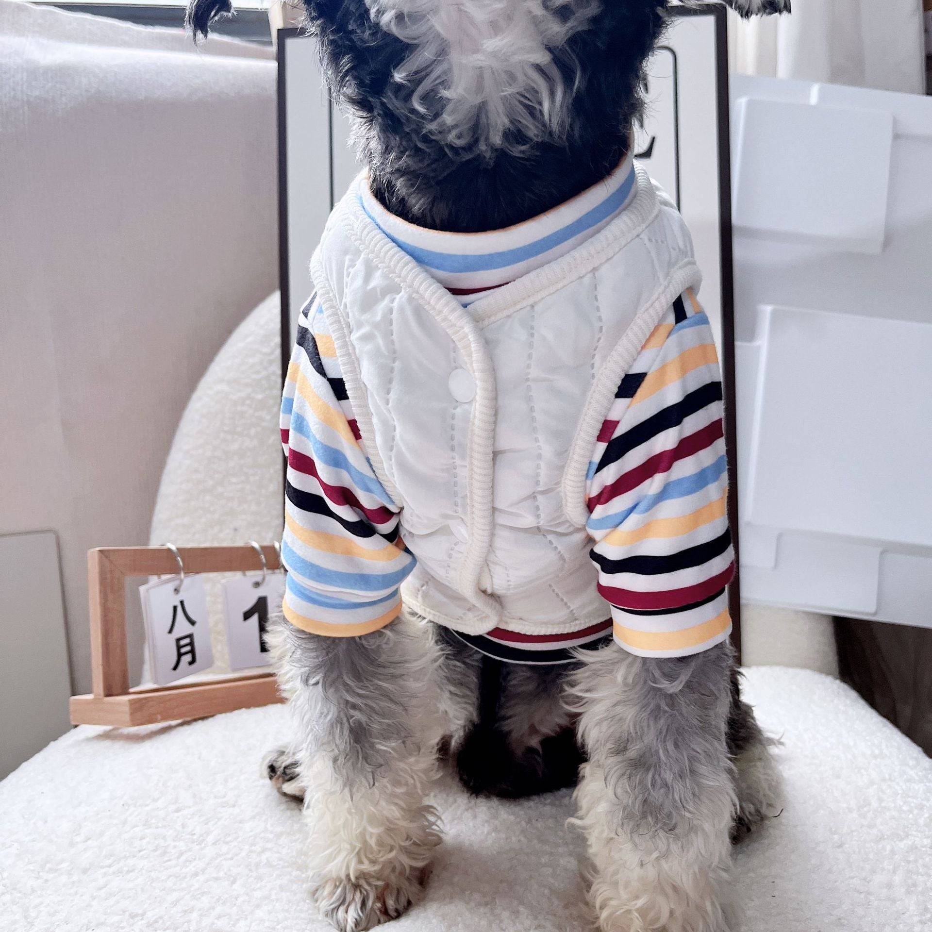 AutumnWinter Warm Dog Vest Deux-Piece Set