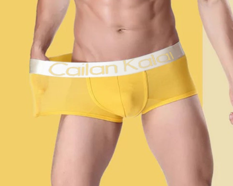 Sous-vêtements pour hommes Boxers Modal Breathable Boxer